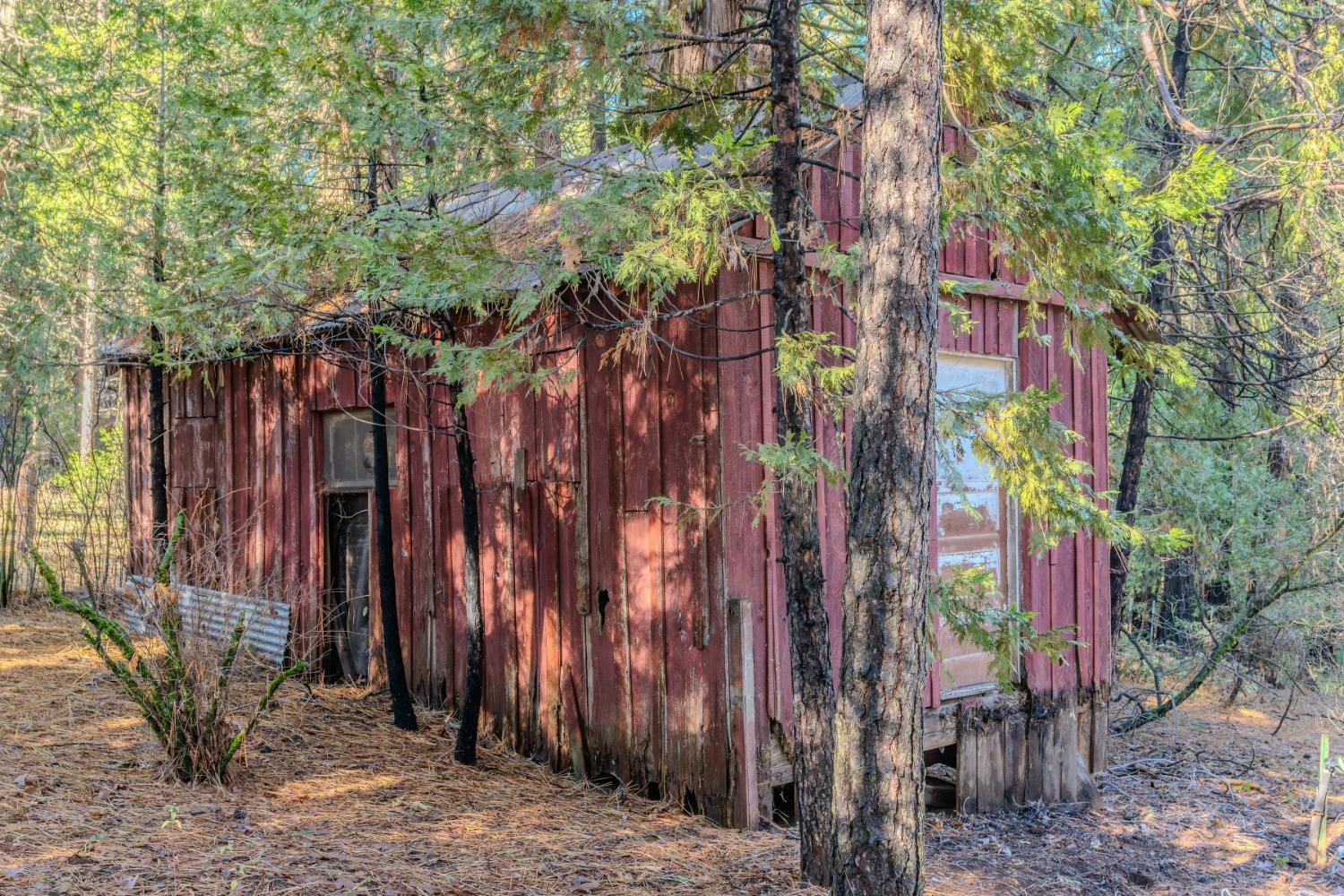 Detail Gallery Image 10 of 40 For 22275 Shake Ridge Rd, Volcano,  CA 95689 - 2 Beds | 1/1 Baths