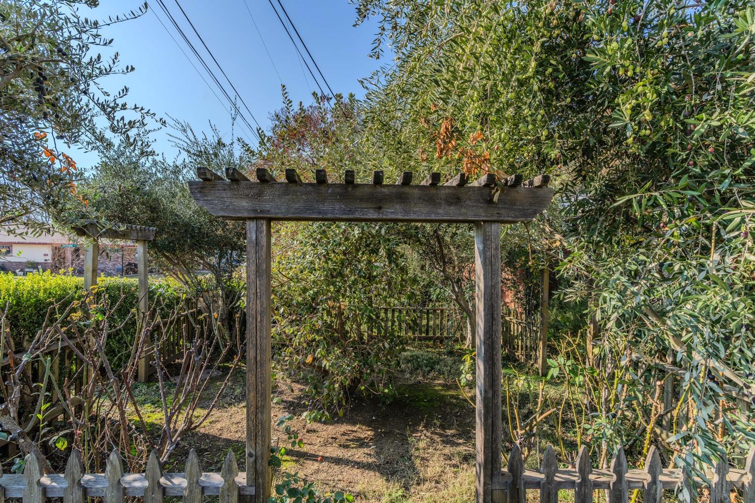 Detail Gallery Image 51 of 63 For 401 W Jackson St, Ione,  CA 95640 - 3 Beds | 2 Baths