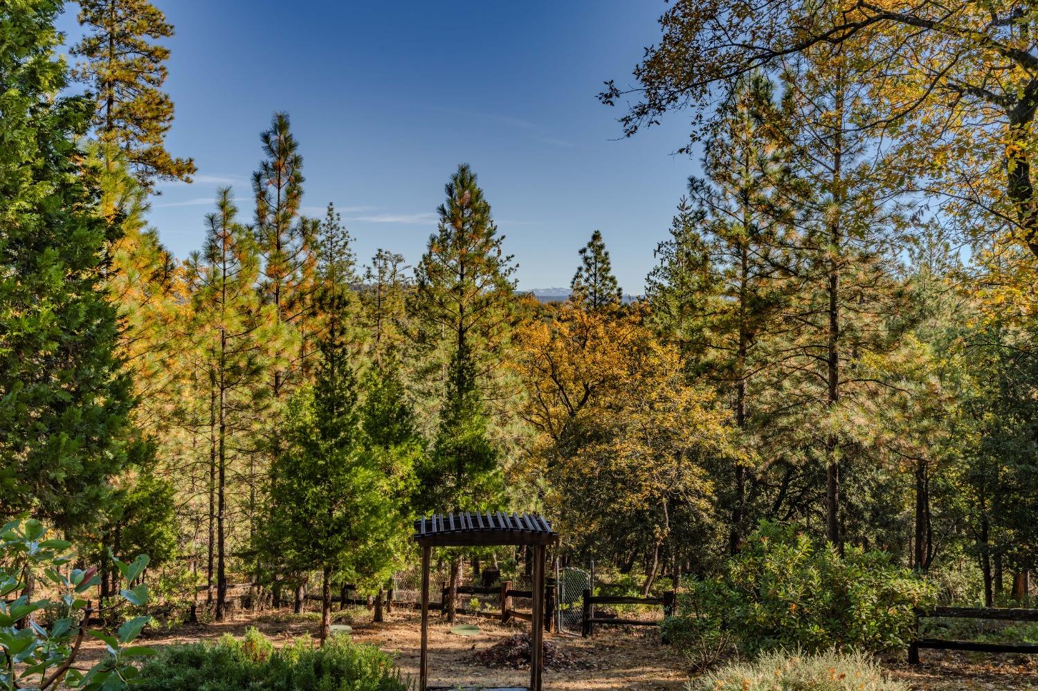 Vista Amorosa Court, Pine Grove, California image 43