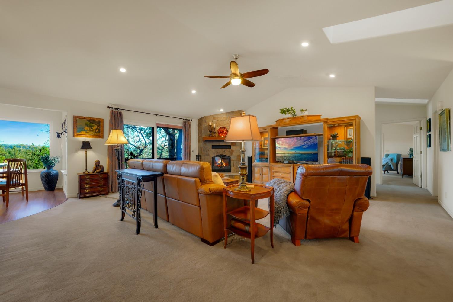 Vista Amorosa Court, Pine Grove, California image 22