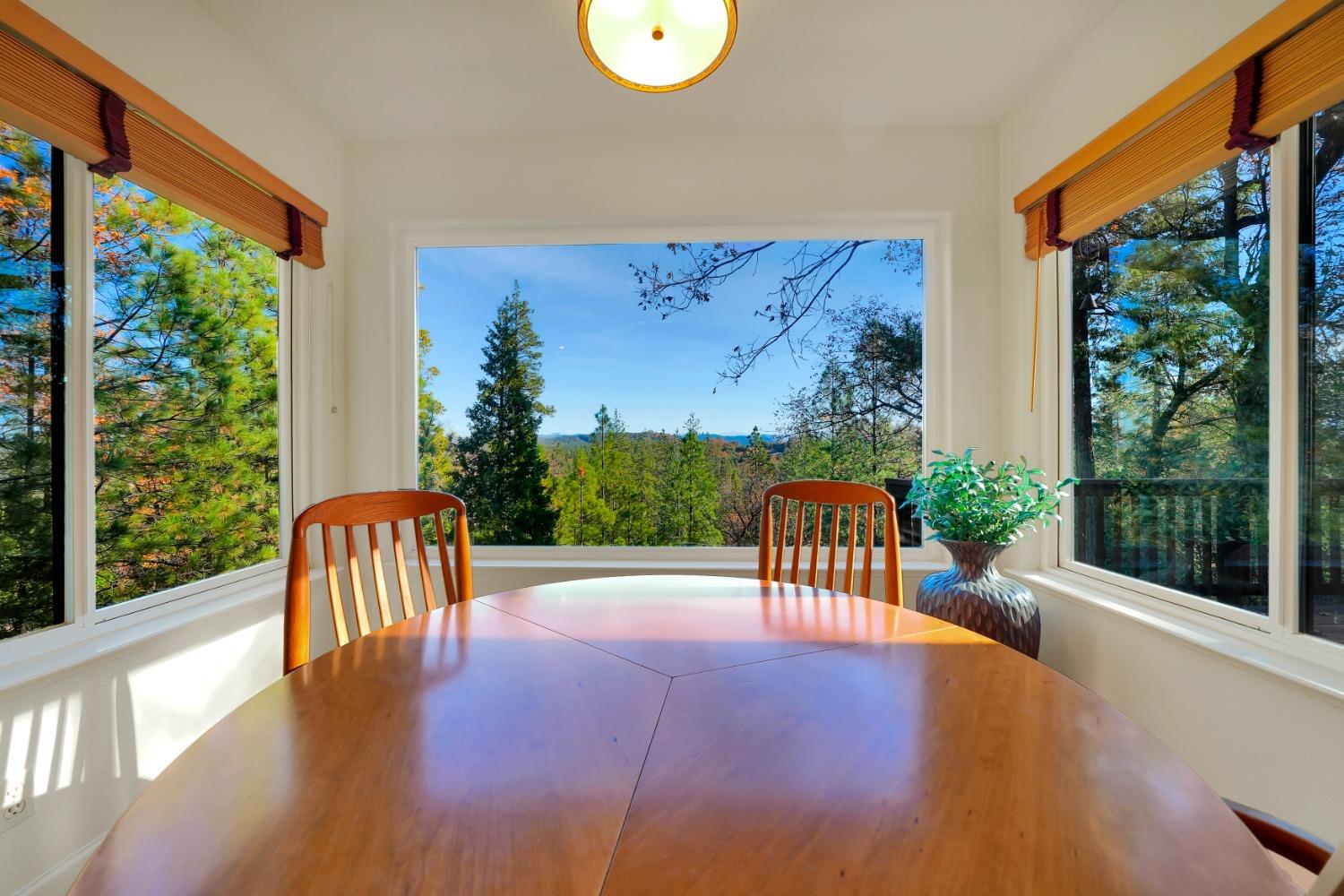 Vista Amorosa Court, Pine Grove, California image 14