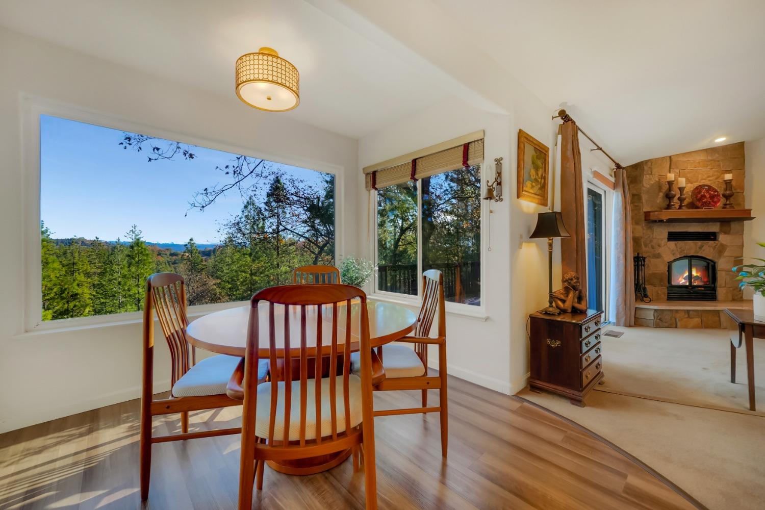 Vista Amorosa Court, Pine Grove, California image 11