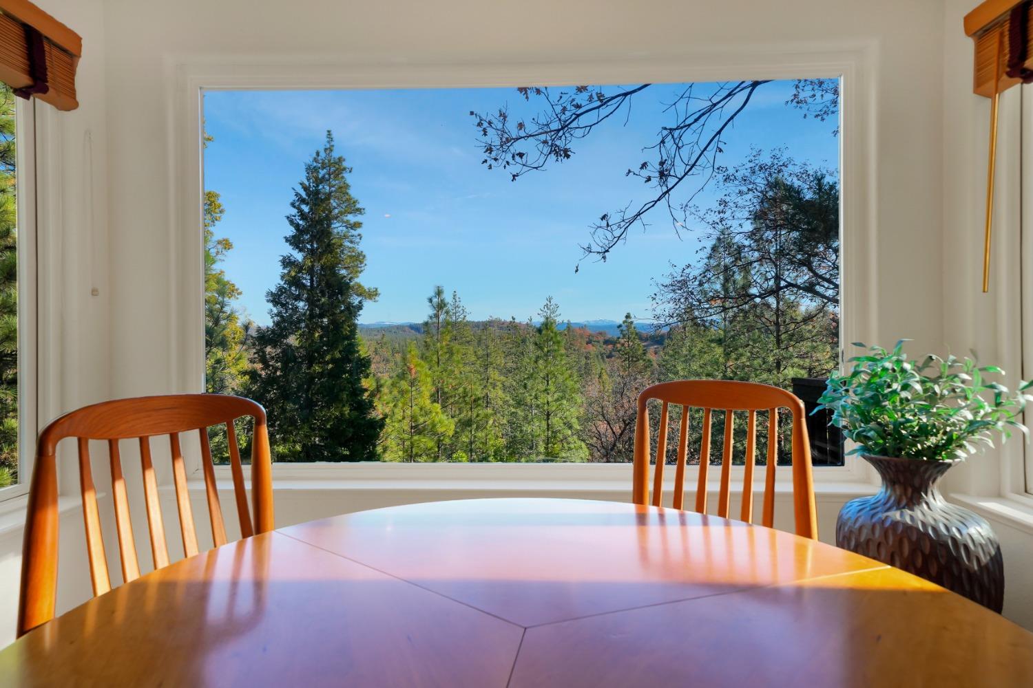 Vista Amorosa Court, Pine Grove, California image 12