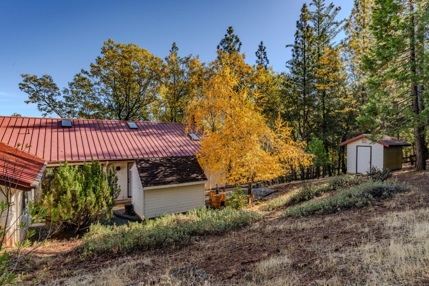 Vista Amorosa Court, Pine Grove, California image 42