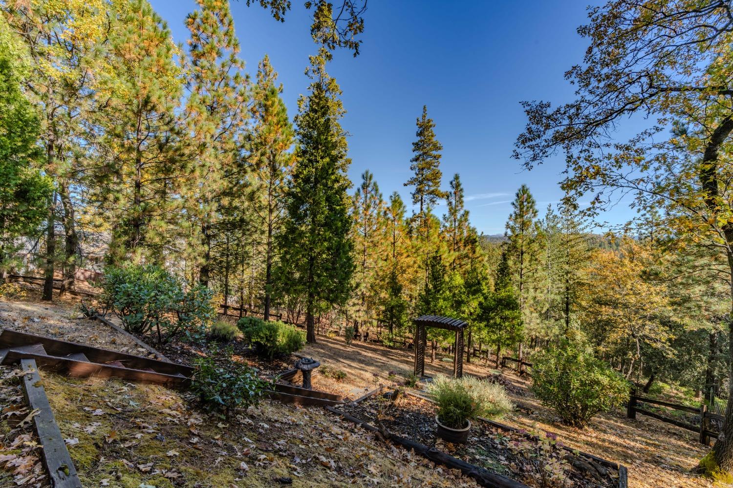 Vista Amorosa Court, Pine Grove, California image 45
