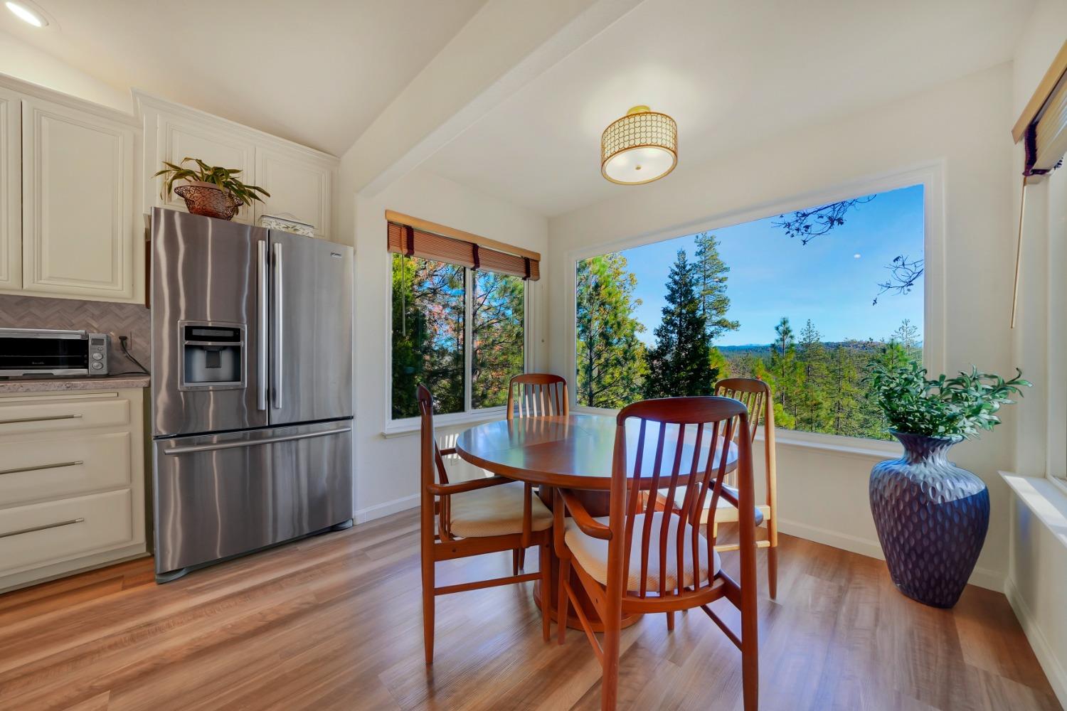 Vista Amorosa Court, Pine Grove, California image 15
