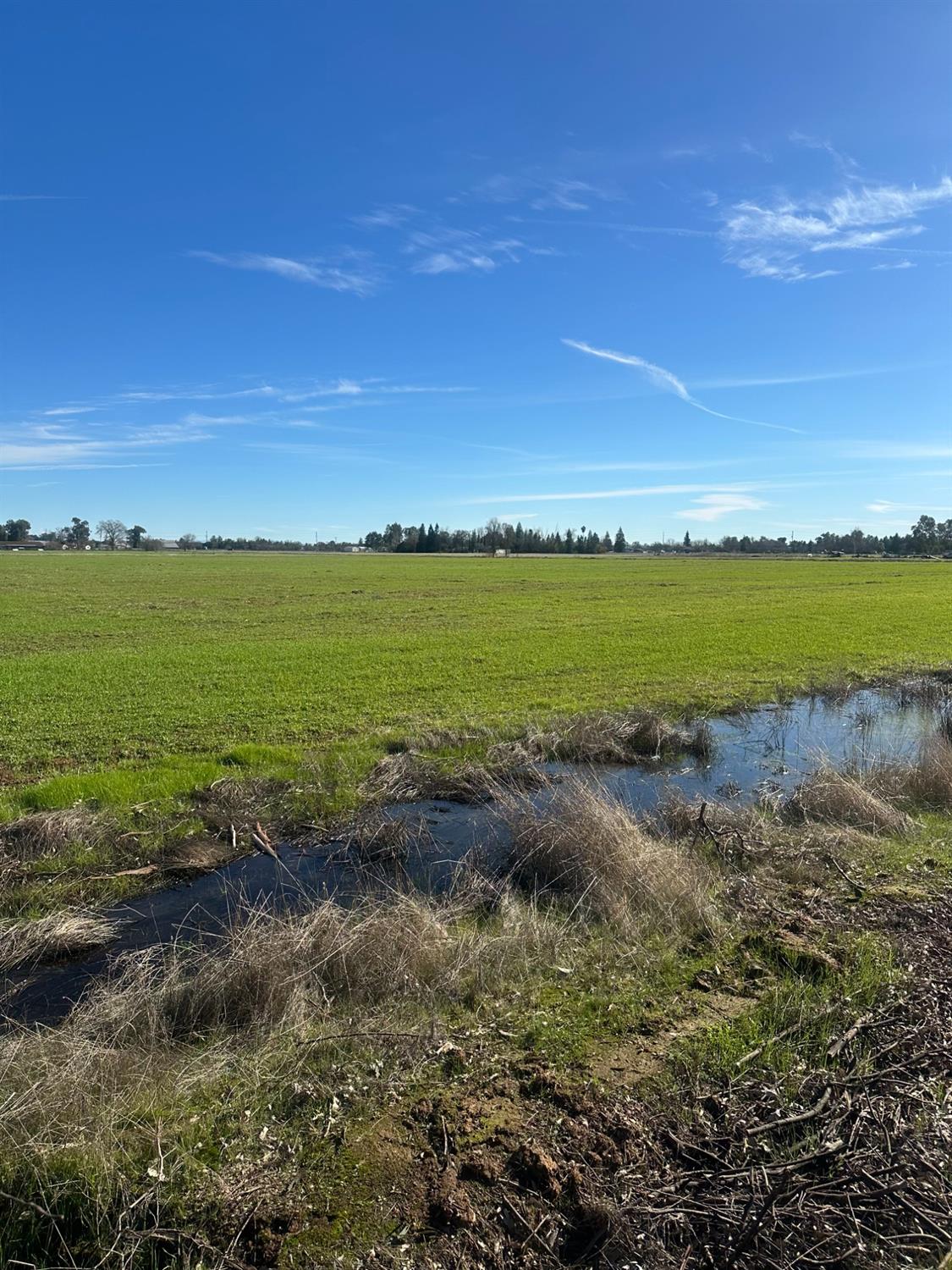 Sherman Lane, Wilton, California image 1