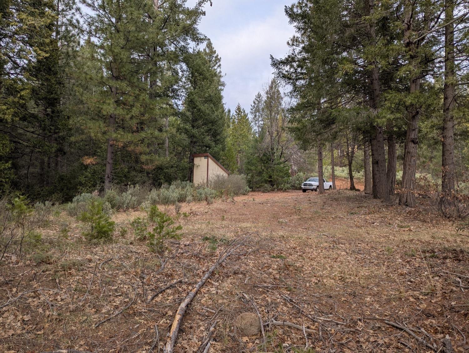 Moody Ridge Road, Gold Run, California image 6