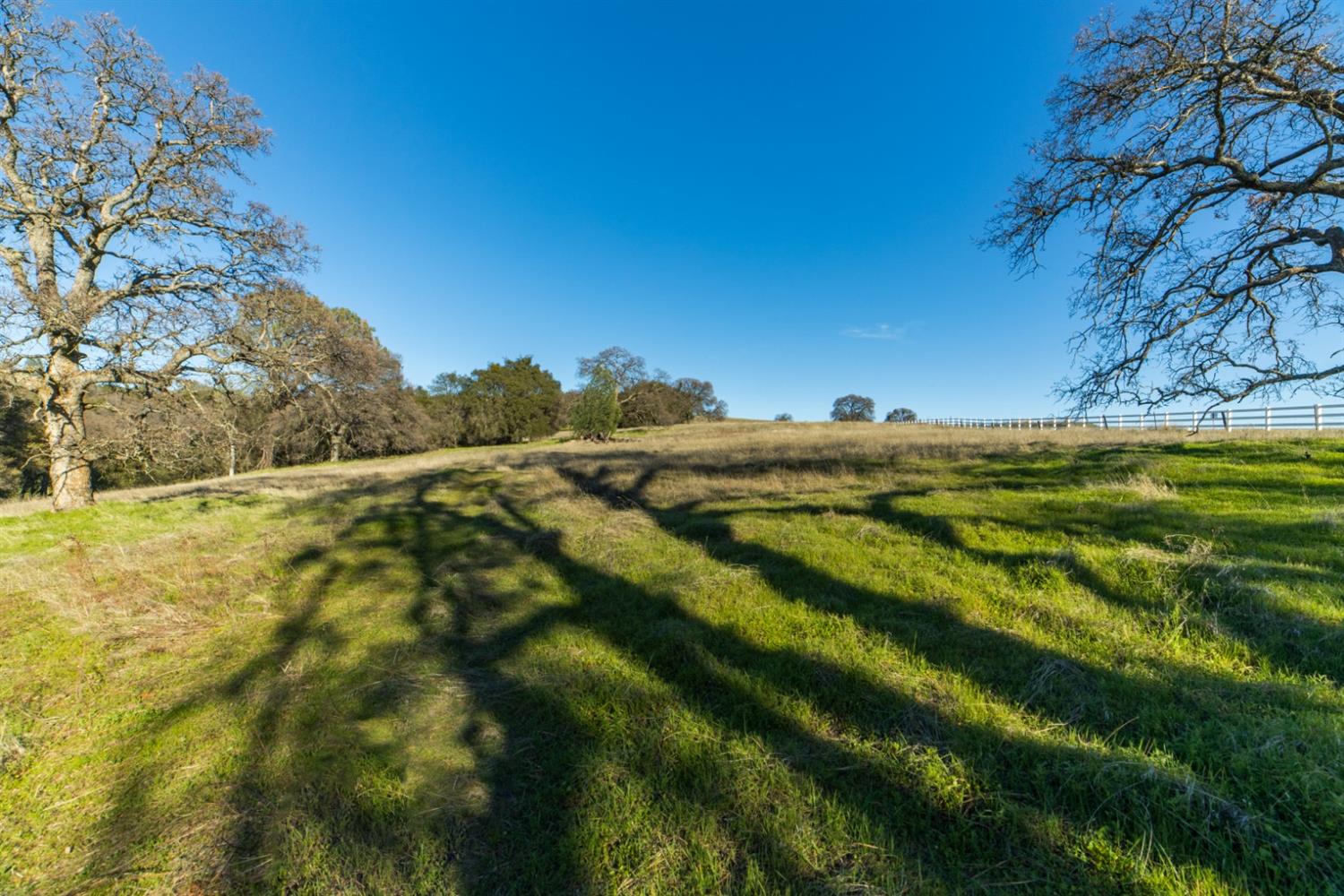 Detail Gallery Image 3 of 48 For 1660 via Veritas, El Dorado Hills,  CA 95762 - – Beds | – Baths