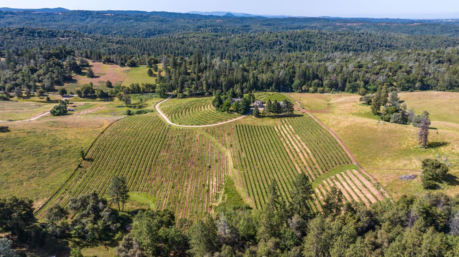 Detail Gallery Image 66 of 74 For 16915 Red Mule Rd, Fiddletown,  CA 95629 - 3 Beds | 2/1 Baths