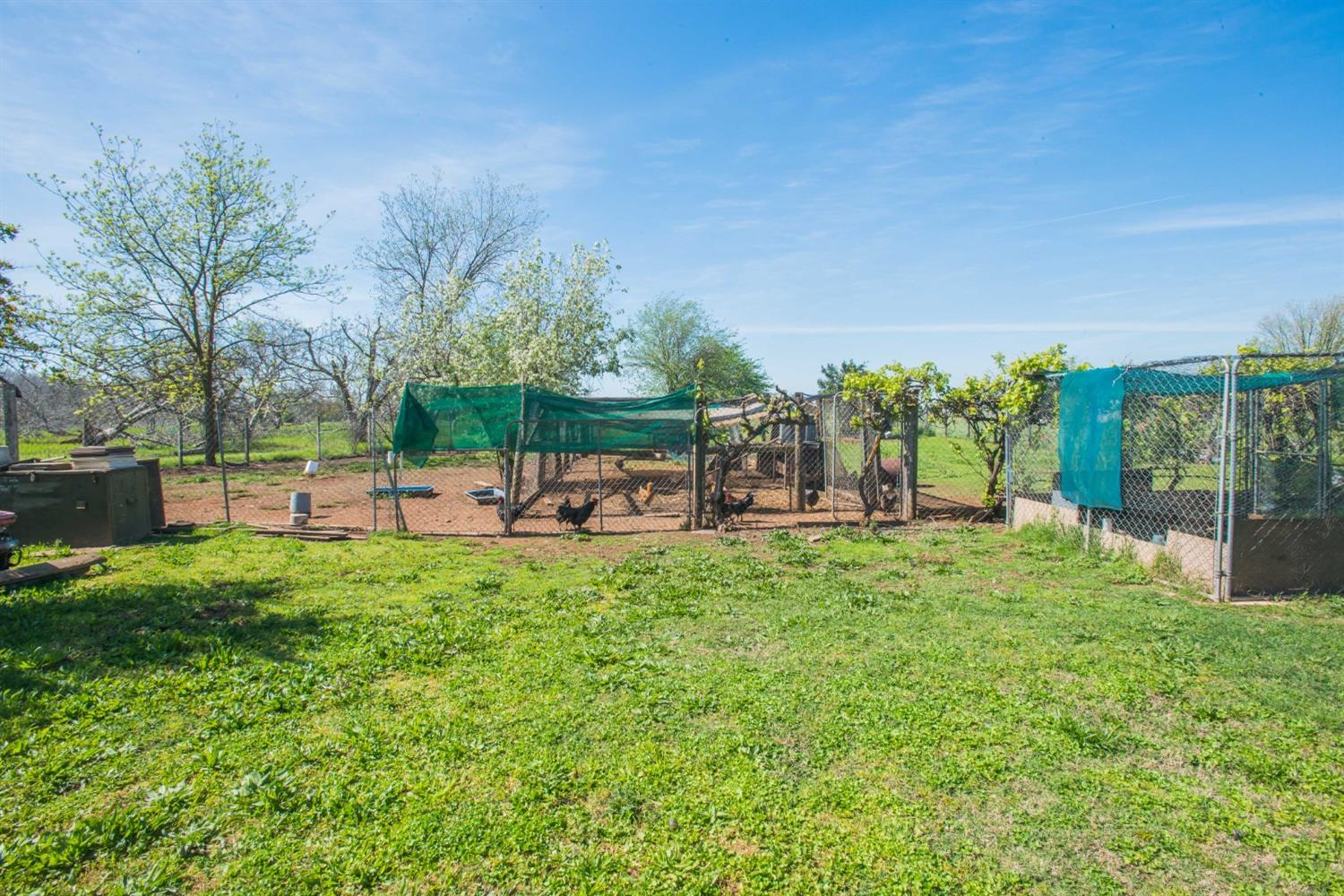 Detail Gallery Image 39 of 63 For 2160 State Highway 65, Wheatland,  CA 95692 - 3 Beds | 2/1 Baths