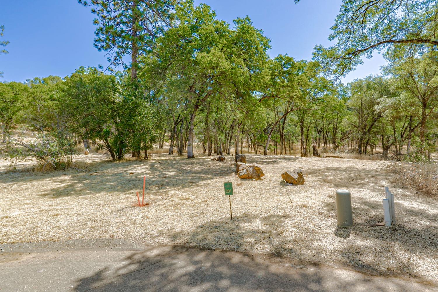 Lot 201 Masters Court, Auburn, California image 1