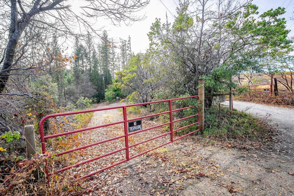 Detail Gallery Image 66 of 66 For 2160 Nelson Rd, Camino,  CA 95709 - 3 Beds | 2 Baths