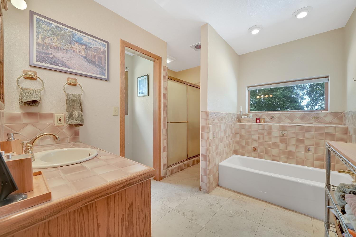 Detail Gallery Image 28 of 74 For 16915 Red Mule Rd, Fiddletown,  CA 95629 - 3 Beds | 2/1 Baths