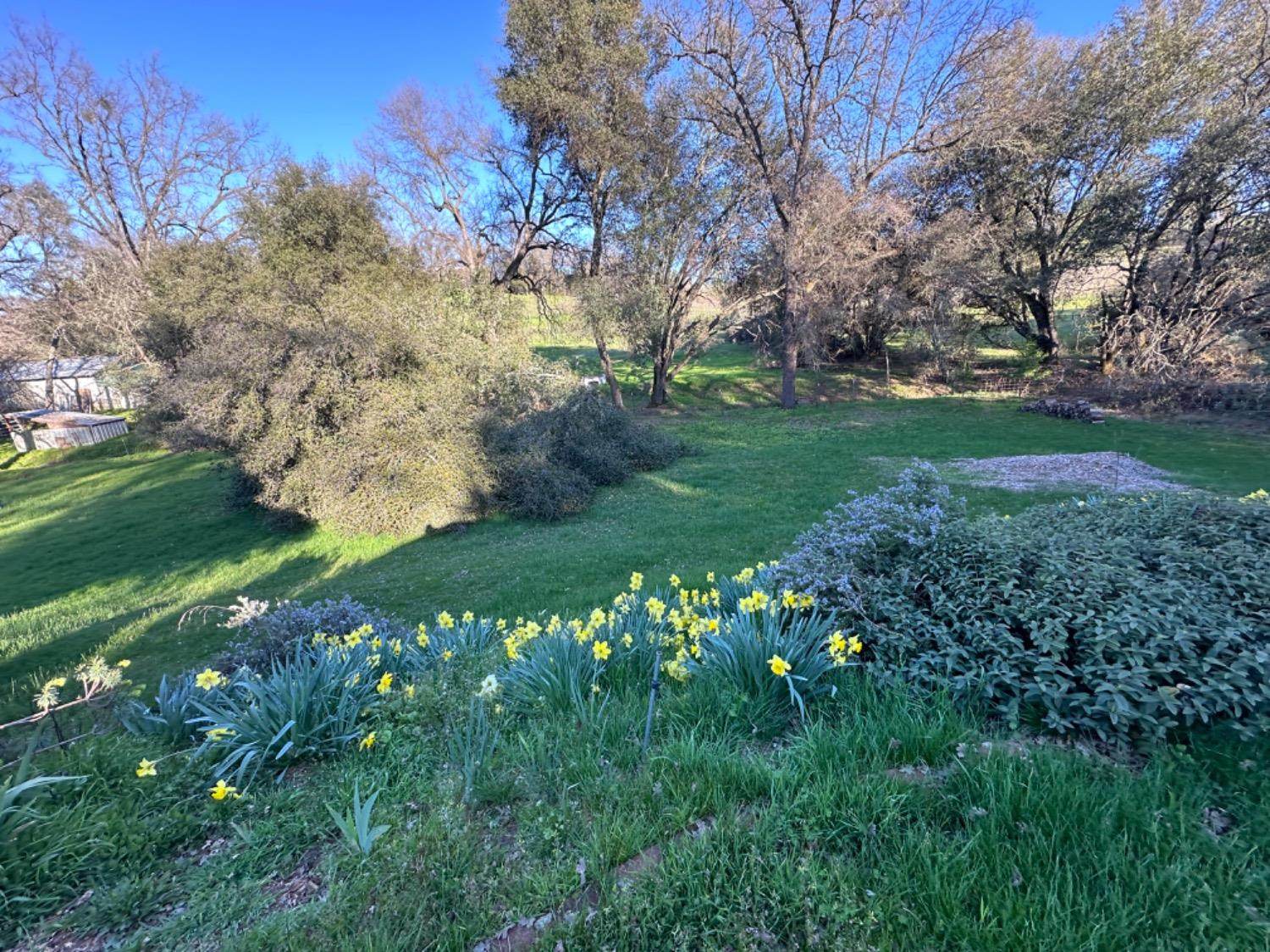 Detail Gallery Image 8 of 38 For 13930 Fiddletown Rd, Fiddletown,  CA 95629 - 3 Beds | 2/1 Baths