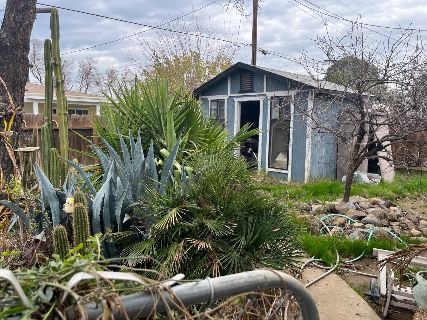 Lime Avenue, Los Banos, California image 6