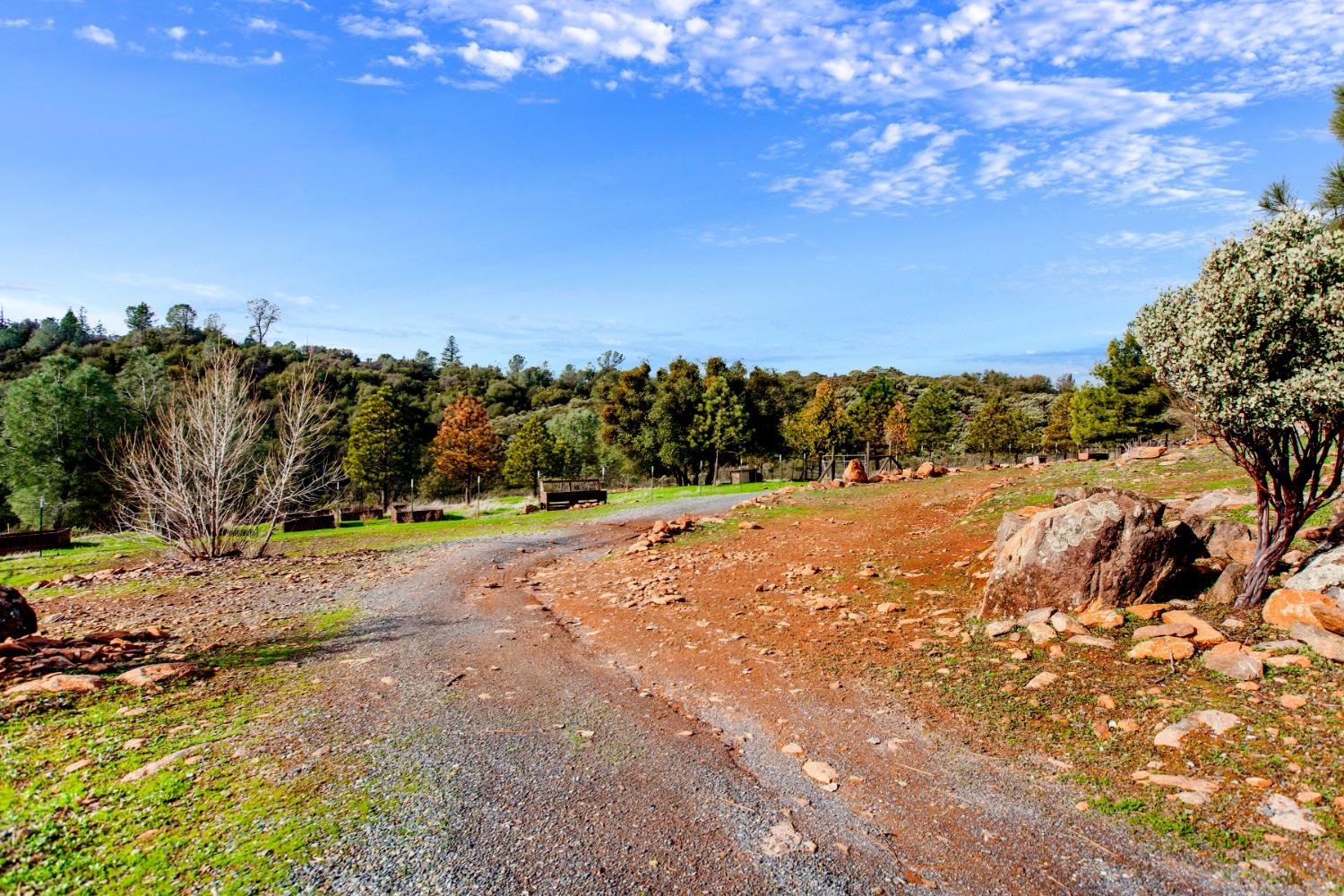 Detail Gallery Image 48 of 58 For 5176 Little Brush Ridge Rd, Placerville,  CA 95667 - 4 Beds | 2/1 Baths