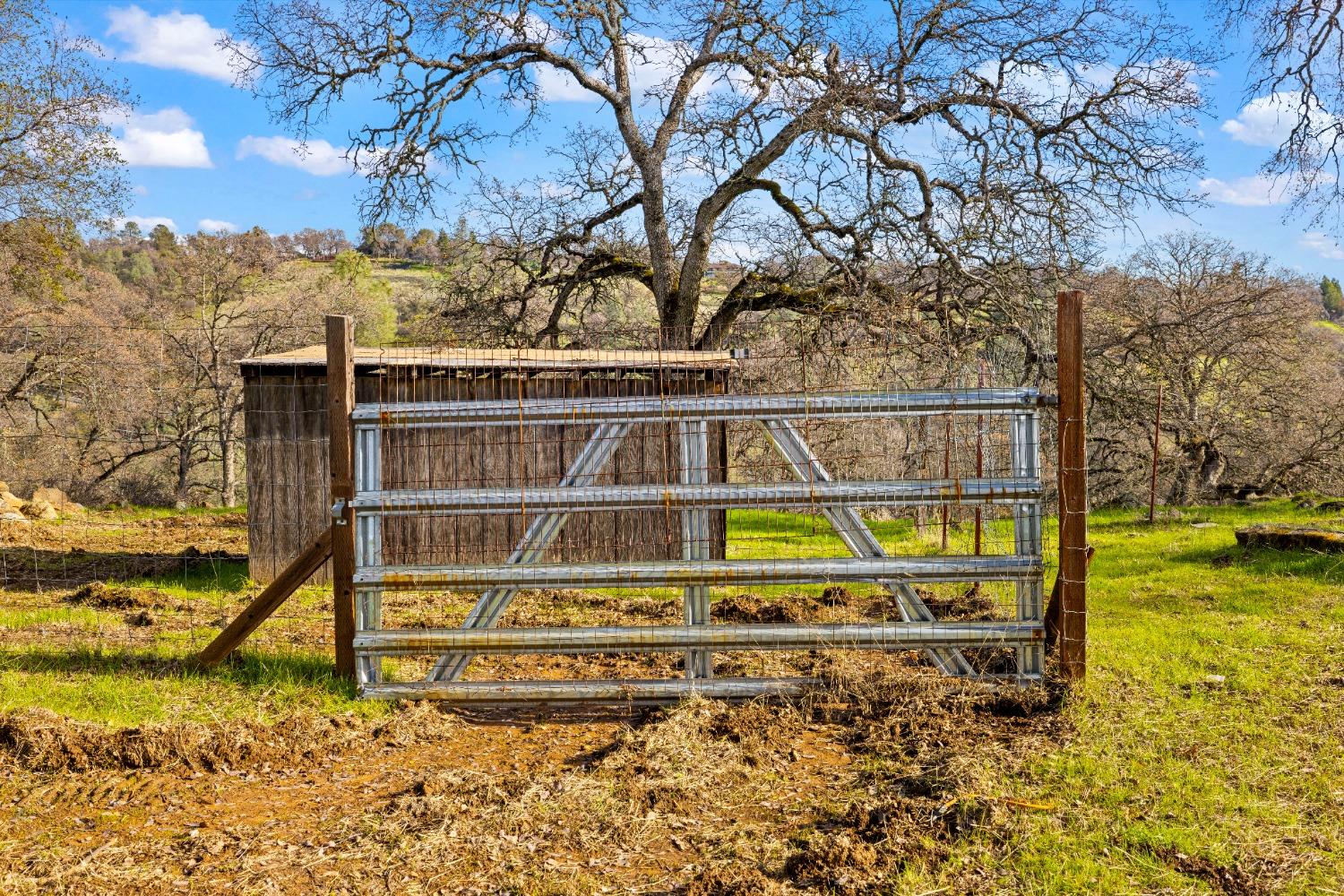 Detail Gallery Image 50 of 57 For 6541 Crystal Blvd, El Dorado,  CA 95623 - 3 Beds | 2 Baths