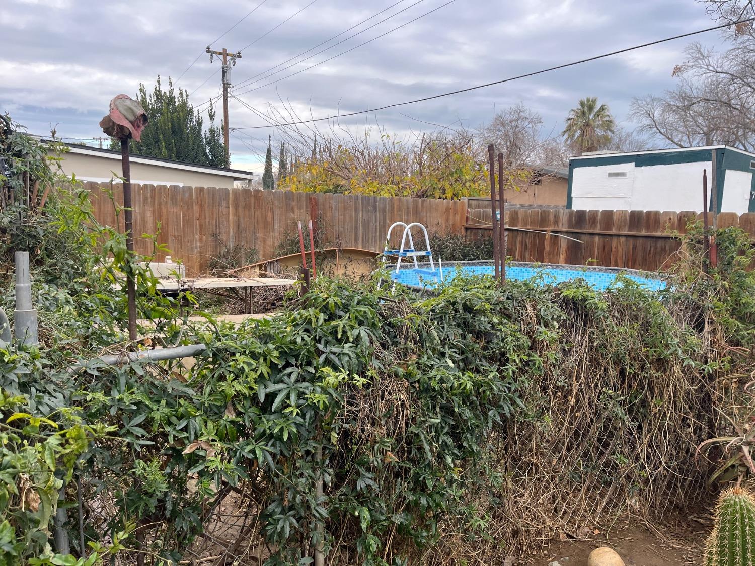 Lime Avenue, Los Banos, California image 8