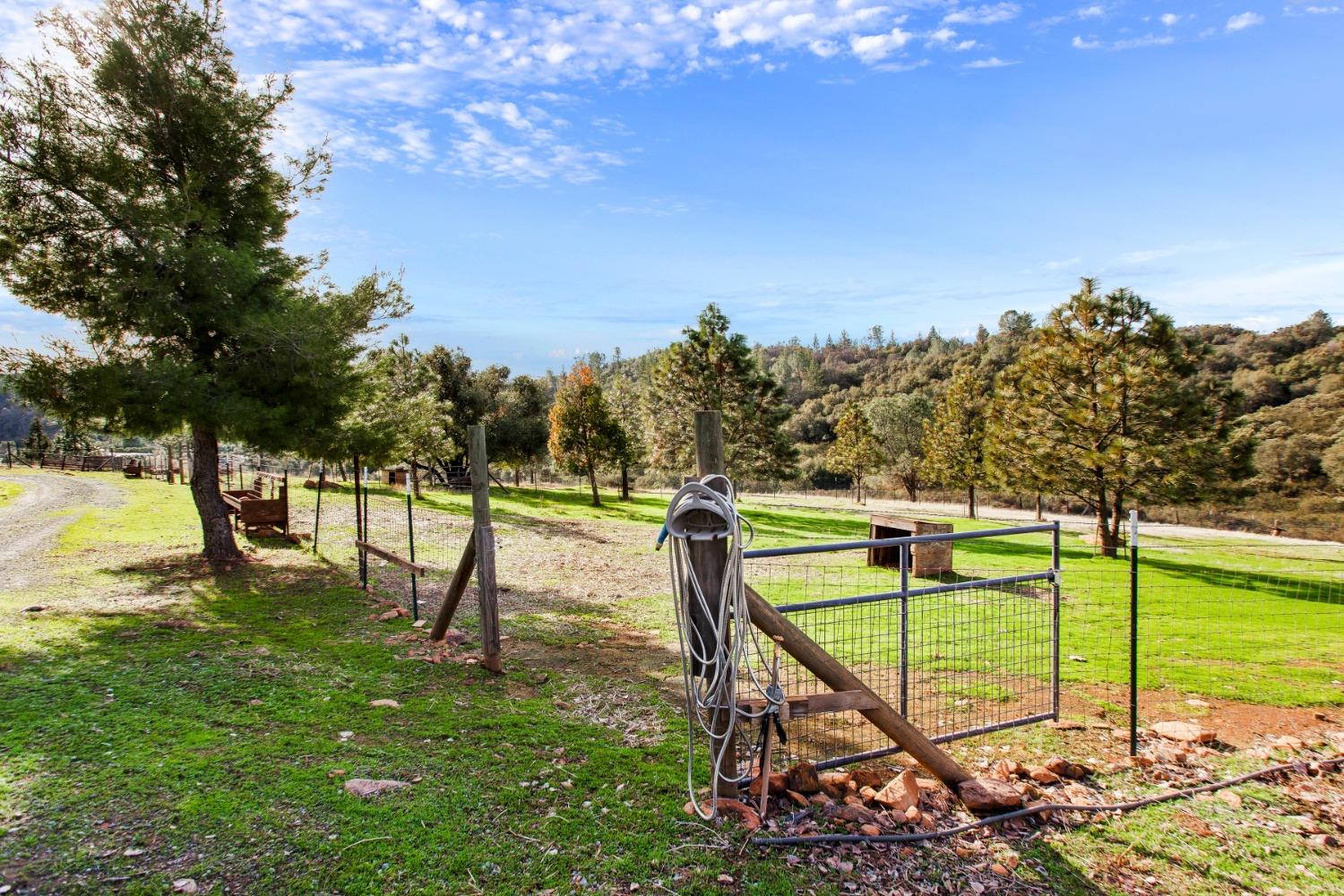 Detail Gallery Image 46 of 58 For 5176 Little Brush Ridge Rd, Placerville,  CA 95667 - 4 Beds | 2/1 Baths