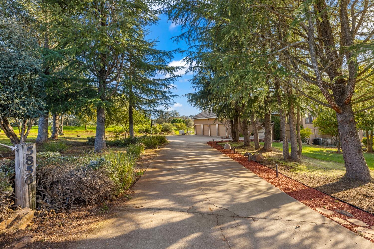 Detail Gallery Image 93 of 97 For 5856 Fernwood Dr, Shingle Springs,  CA 95682 - 5 Beds | 4 Baths