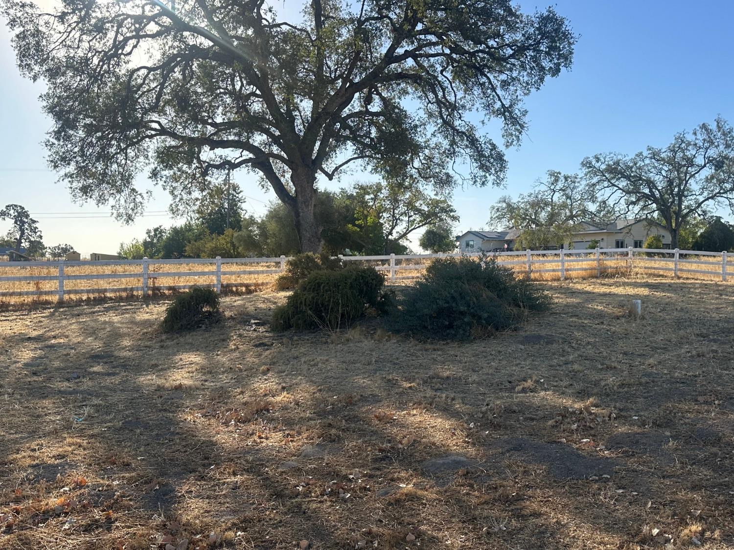 Detail Gallery Image 18 of 73 For 1590 Goose Creek Rd, Ione,  CA 95640 - 4 Beds | 2/1 Baths