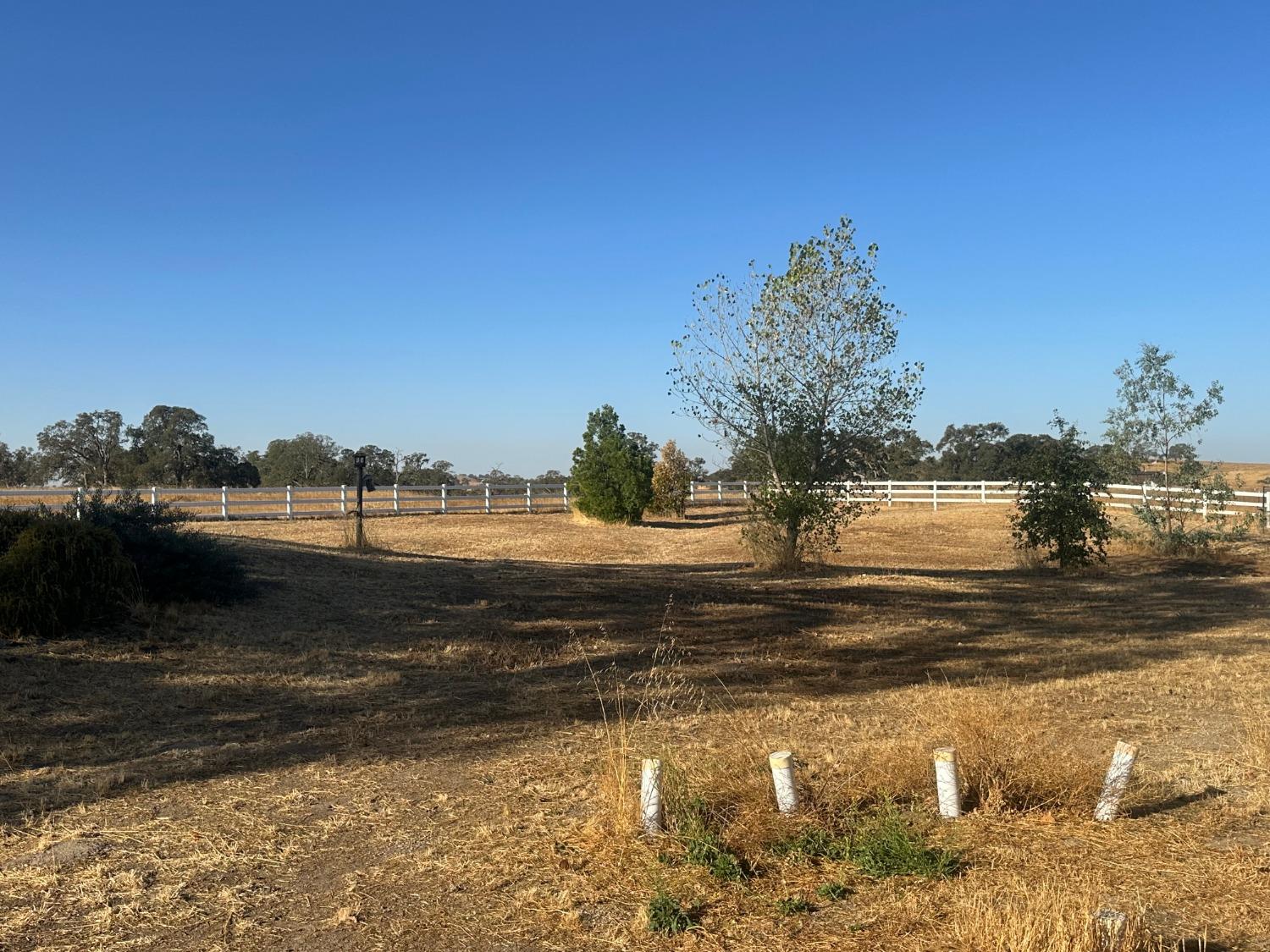 Detail Gallery Image 14 of 73 For 1590 Goose Creek Rd, Ione,  CA 95640 - 4 Beds | 2/1 Baths