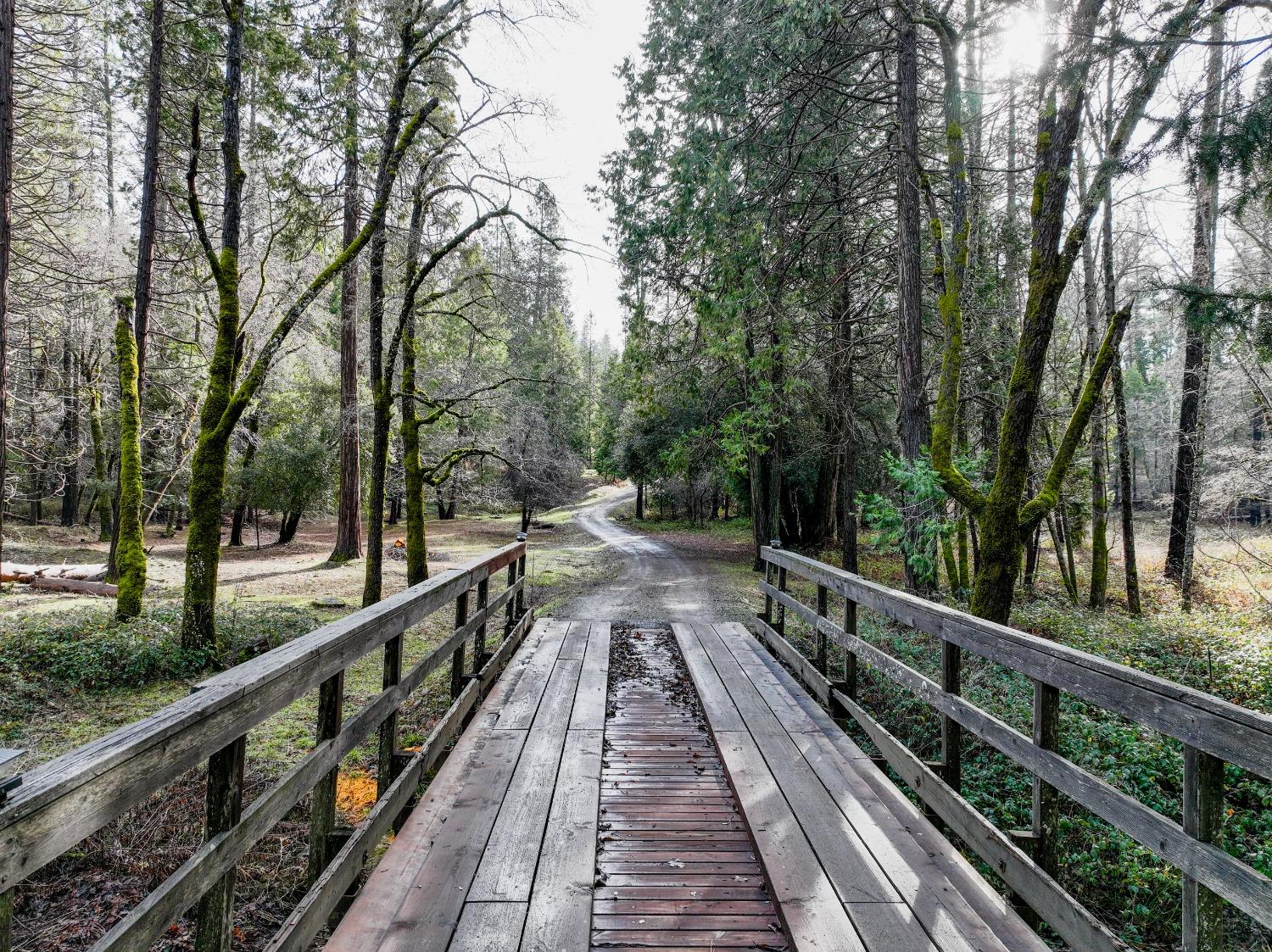 Banerian Place, Nevada City, California image 9