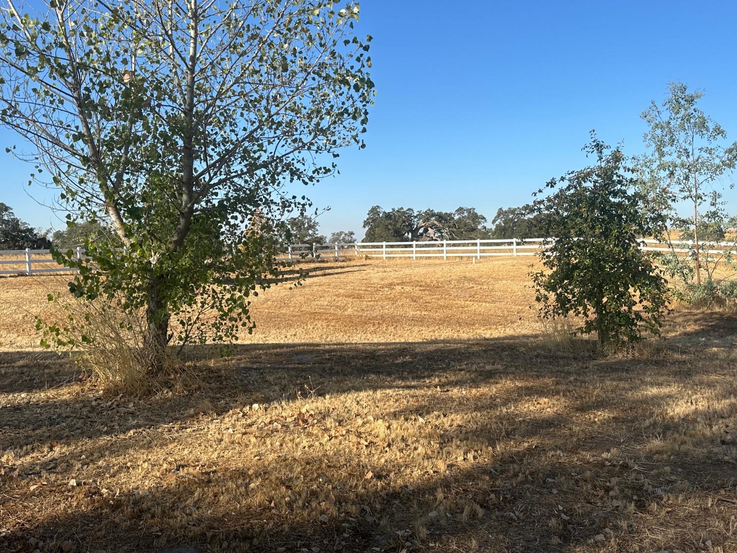 Detail Gallery Image 19 of 73 For 1590 Goose Creek Rd, Ione,  CA 95640 - 4 Beds | 2/1 Baths