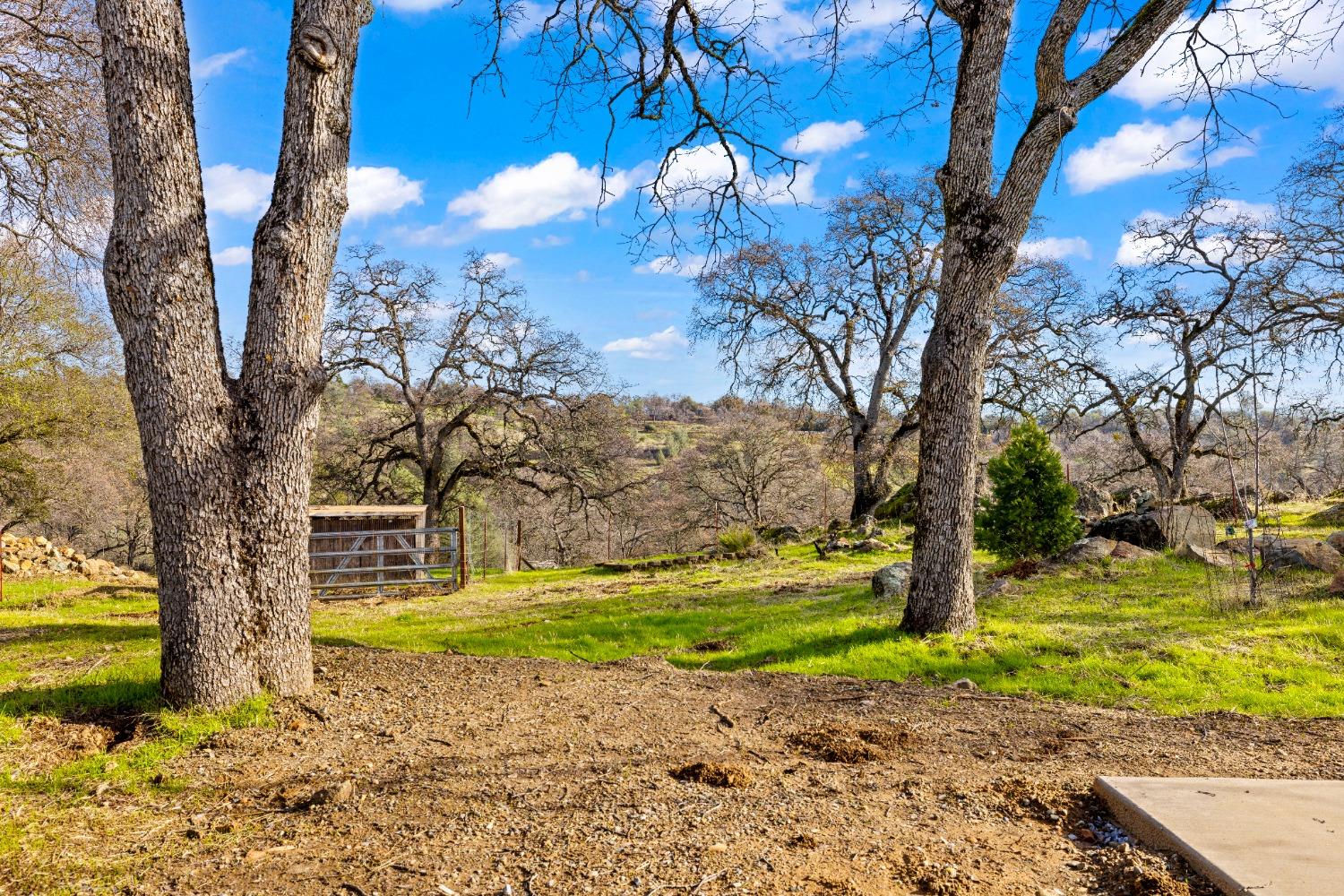 Detail Gallery Image 46 of 57 For 6541 Crystal Blvd, El Dorado,  CA 95623 - 3 Beds | 2 Baths