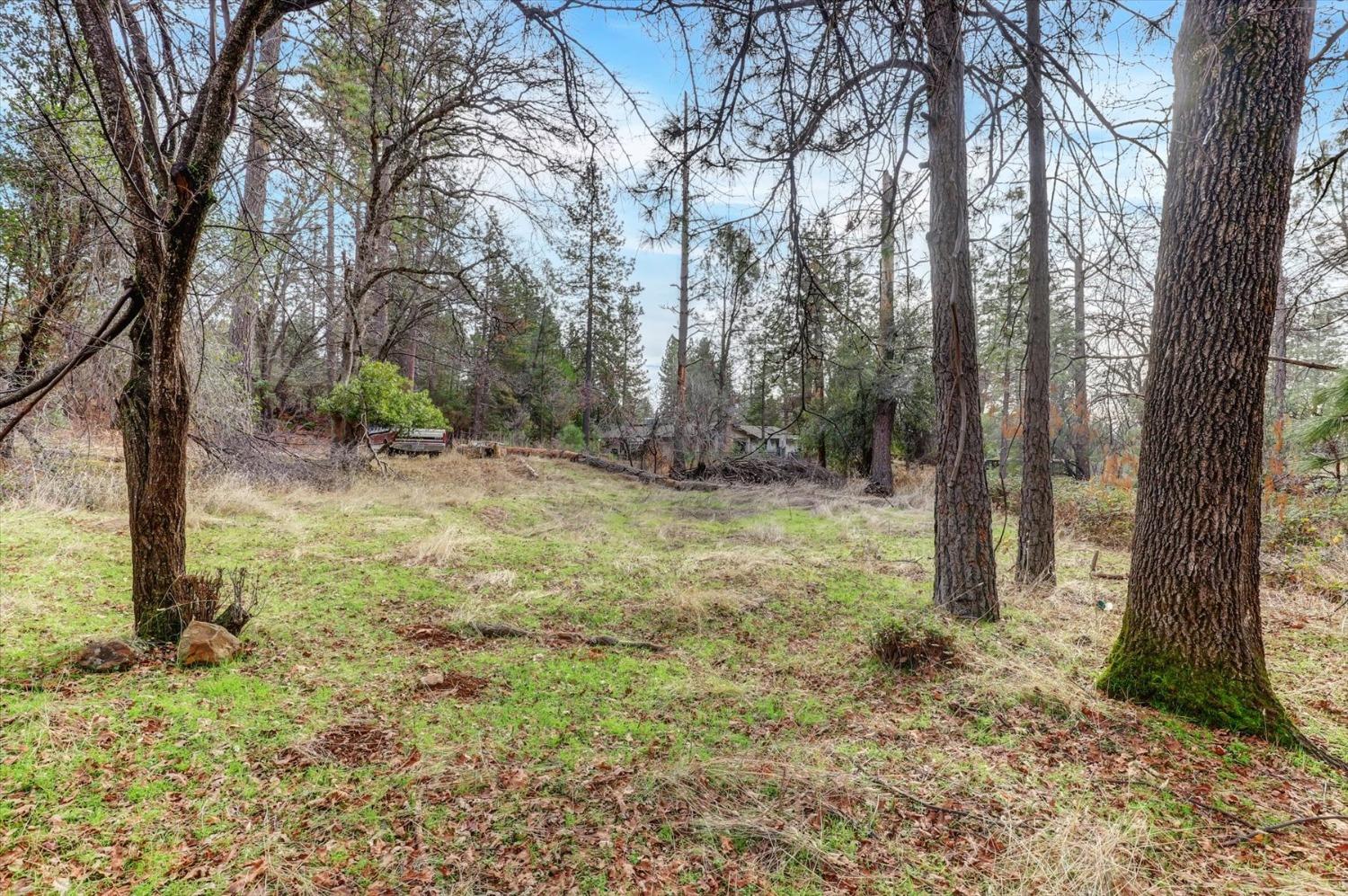 Detail Gallery Image 3 of 22 For 18502 Norlene Way, Grass Valley,  CA 95949 - – Beds | – Baths