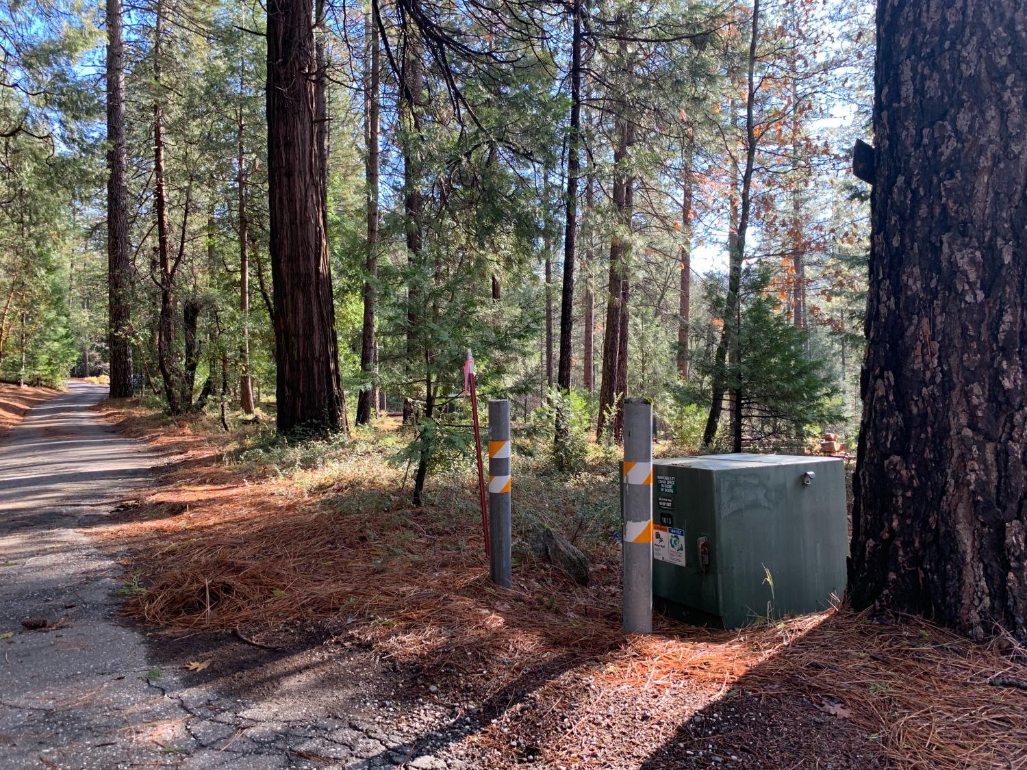 Detail Gallery Image 16 of 28 For 16094 Countrywood Ln, Nevada City,  CA 95959 - – Beds | – Baths