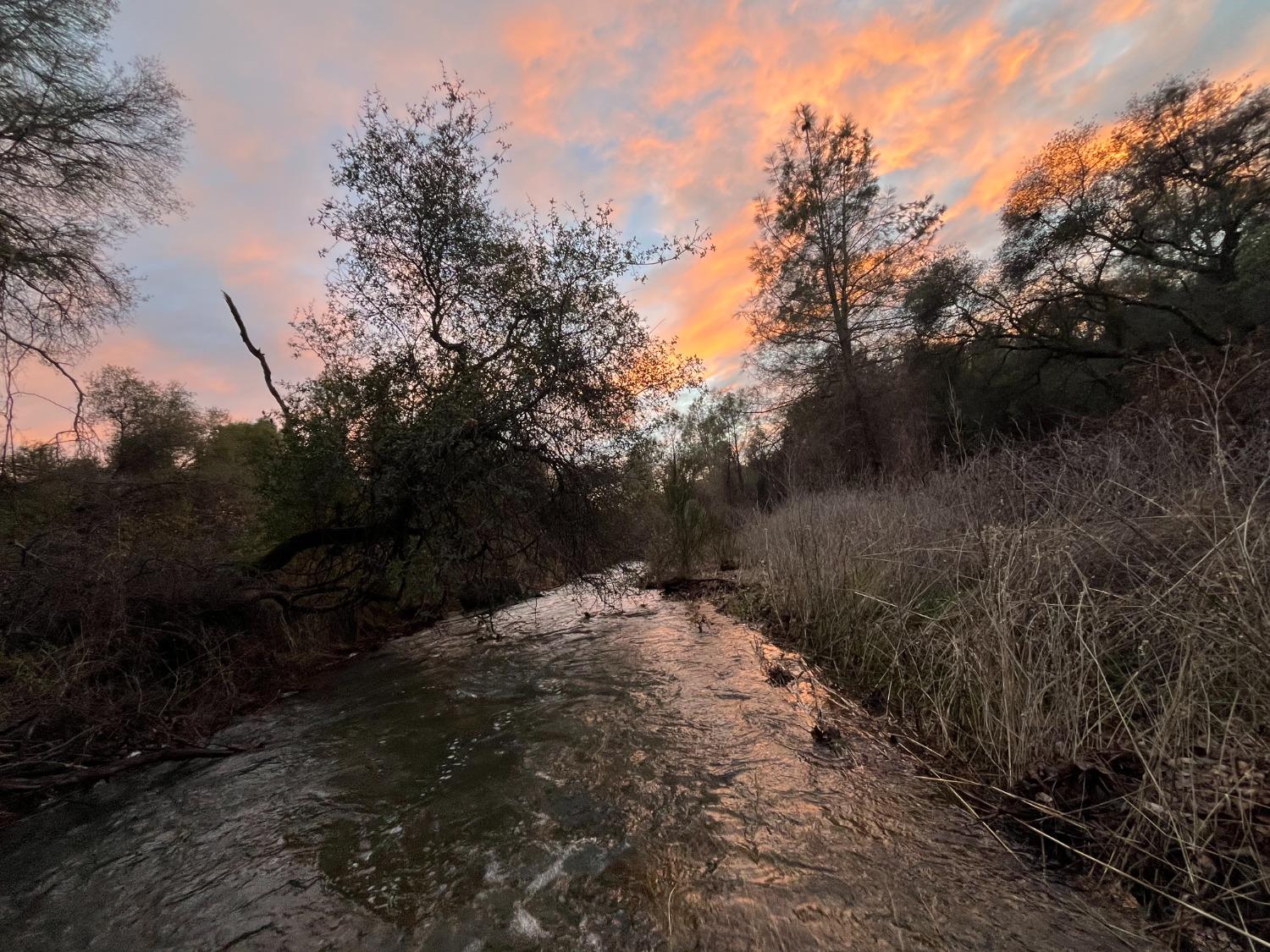 Troost Trail, North San Juan, California image 42