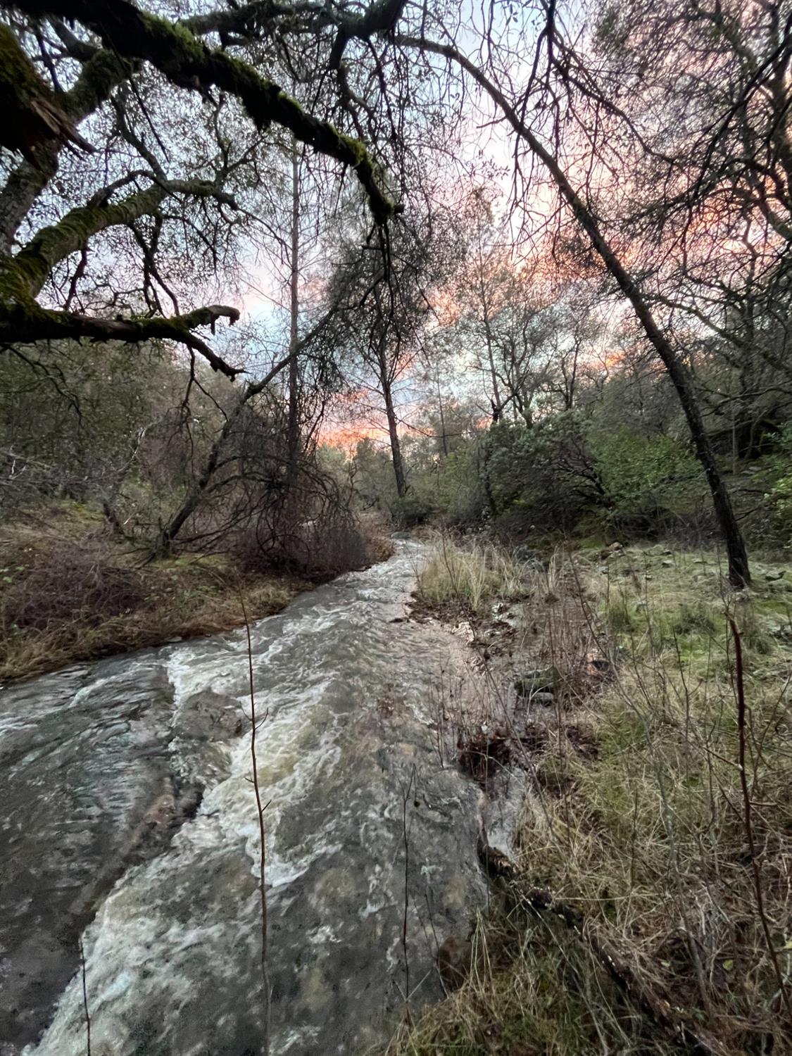 Troost Trail, North San Juan, California image 44