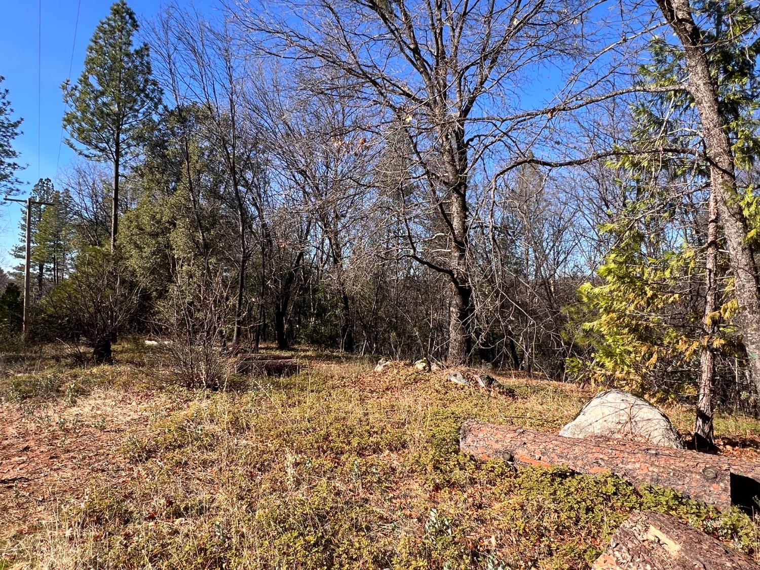 Bald Mountain Road, West Point, California image 8