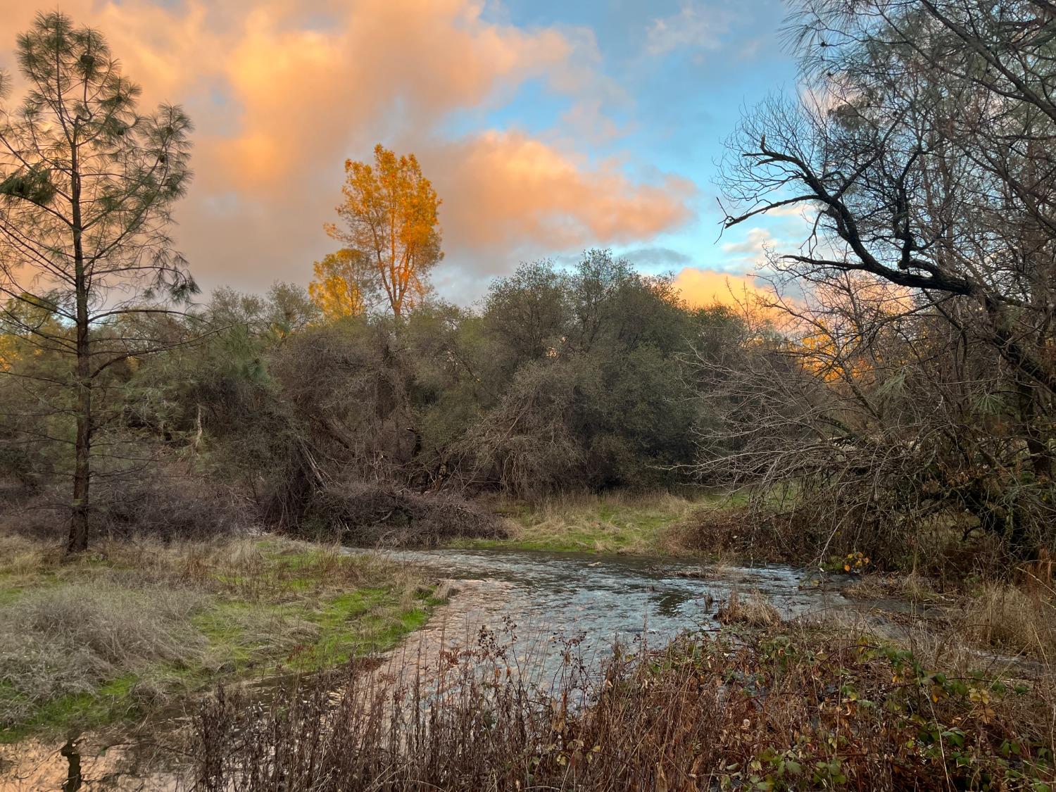 Troost Trail, North San Juan, California image 1