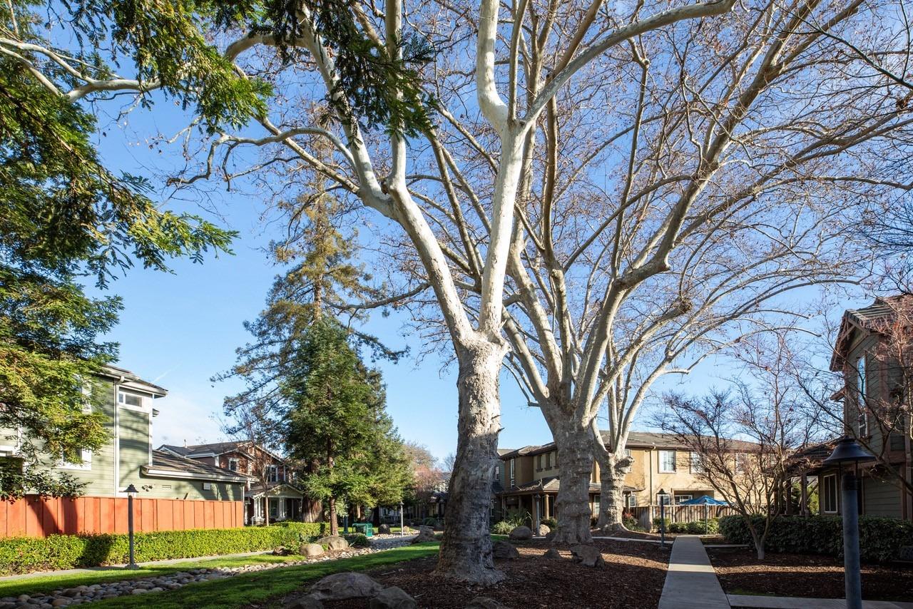 Detail Gallery Image 24 of 24 For 648 Valley Oak Ter, San Jose,  CA 95112 - 5 Beds | 3/1 Baths