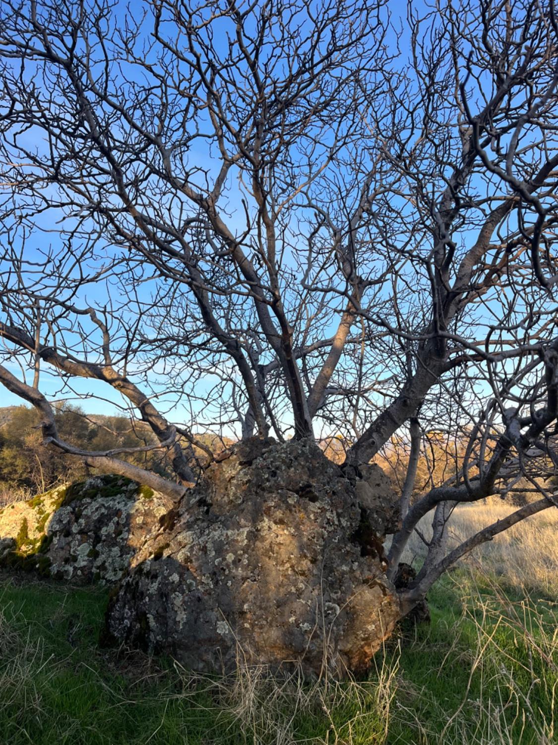 Jaquima Drive, Angels Camp, California image 31