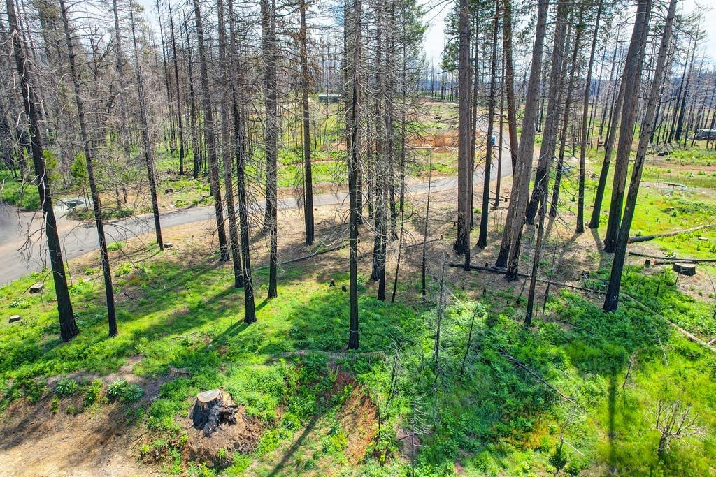 Wooded Glen Road, Grizzly Flats, California image 19