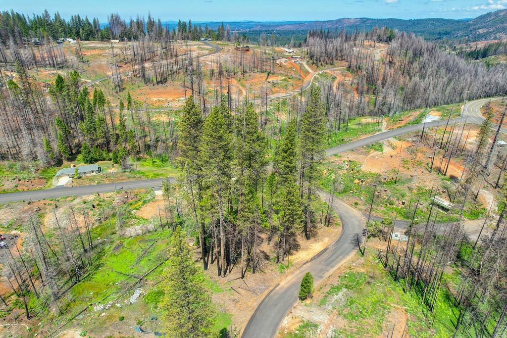 Wooded Glen Road, Grizzly Flats, California image 29