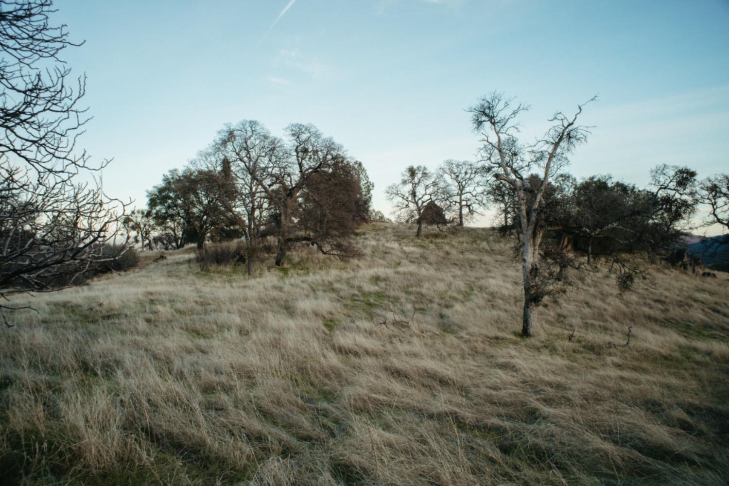 Jaquima Drive, Angels Camp, California image 10