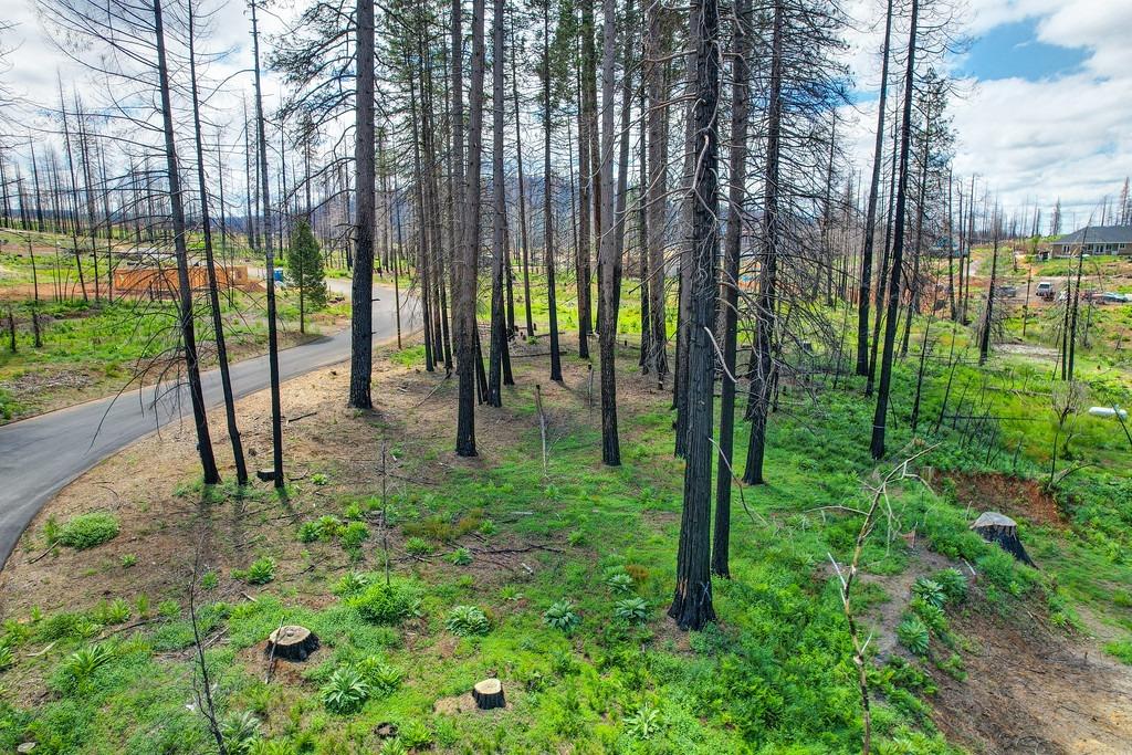 Wooded Glen Road, Grizzly Flats, California image 17