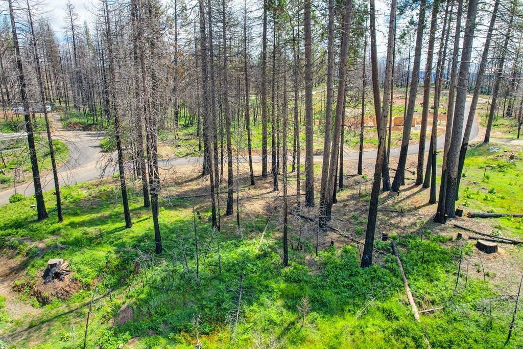 Wooded Glen Road, Grizzly Flats, California image 20