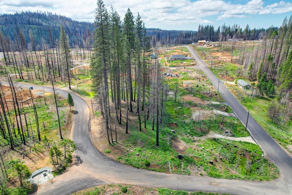 Wooded Glen Road, Grizzly Flats, California image 7