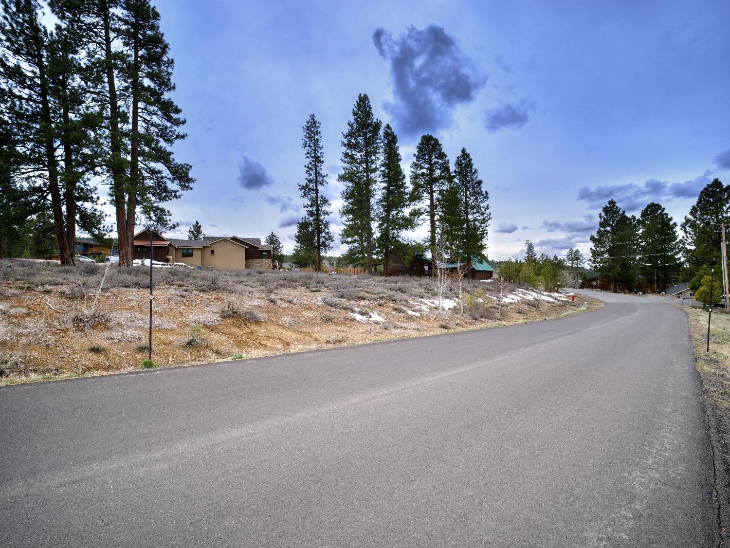 Courtenay Lane, Truckee, California image 11