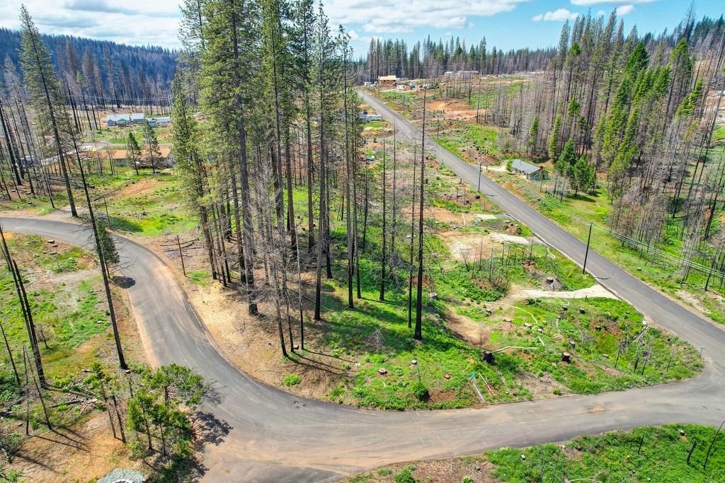 Wooded Glen Road, Grizzly Flats, California image 26