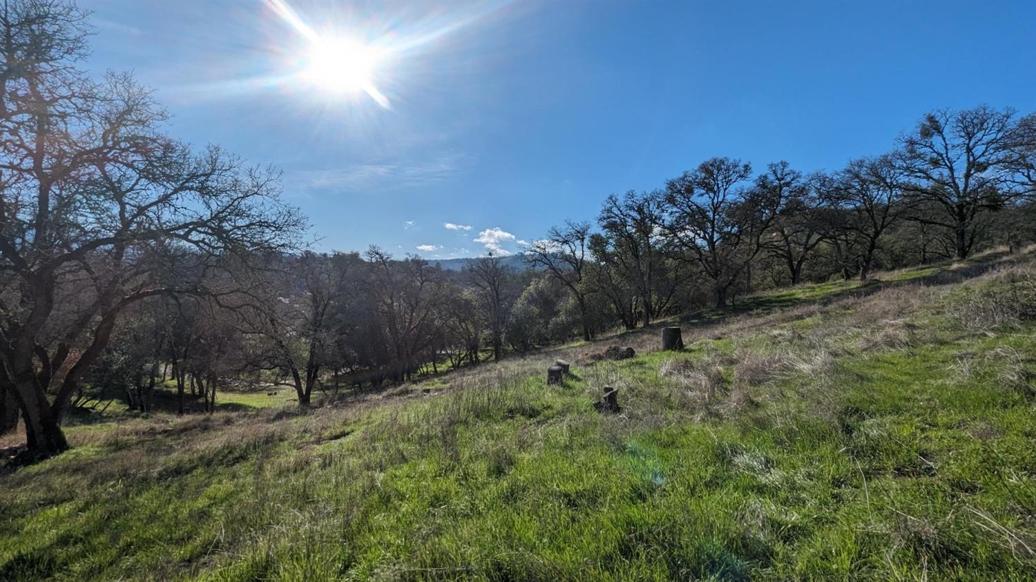 Gold Pan Court, Mokelumne Hill, California image 23