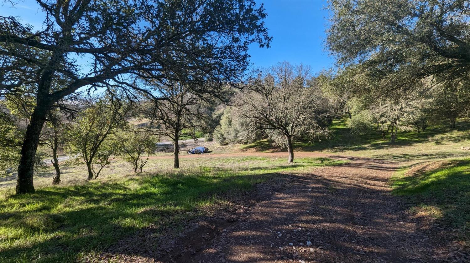 Gold Pan Court, Mokelumne Hill, California image 8