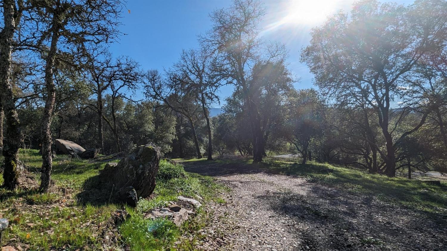 Gold Pan Court, Mokelumne Hill, California image 18