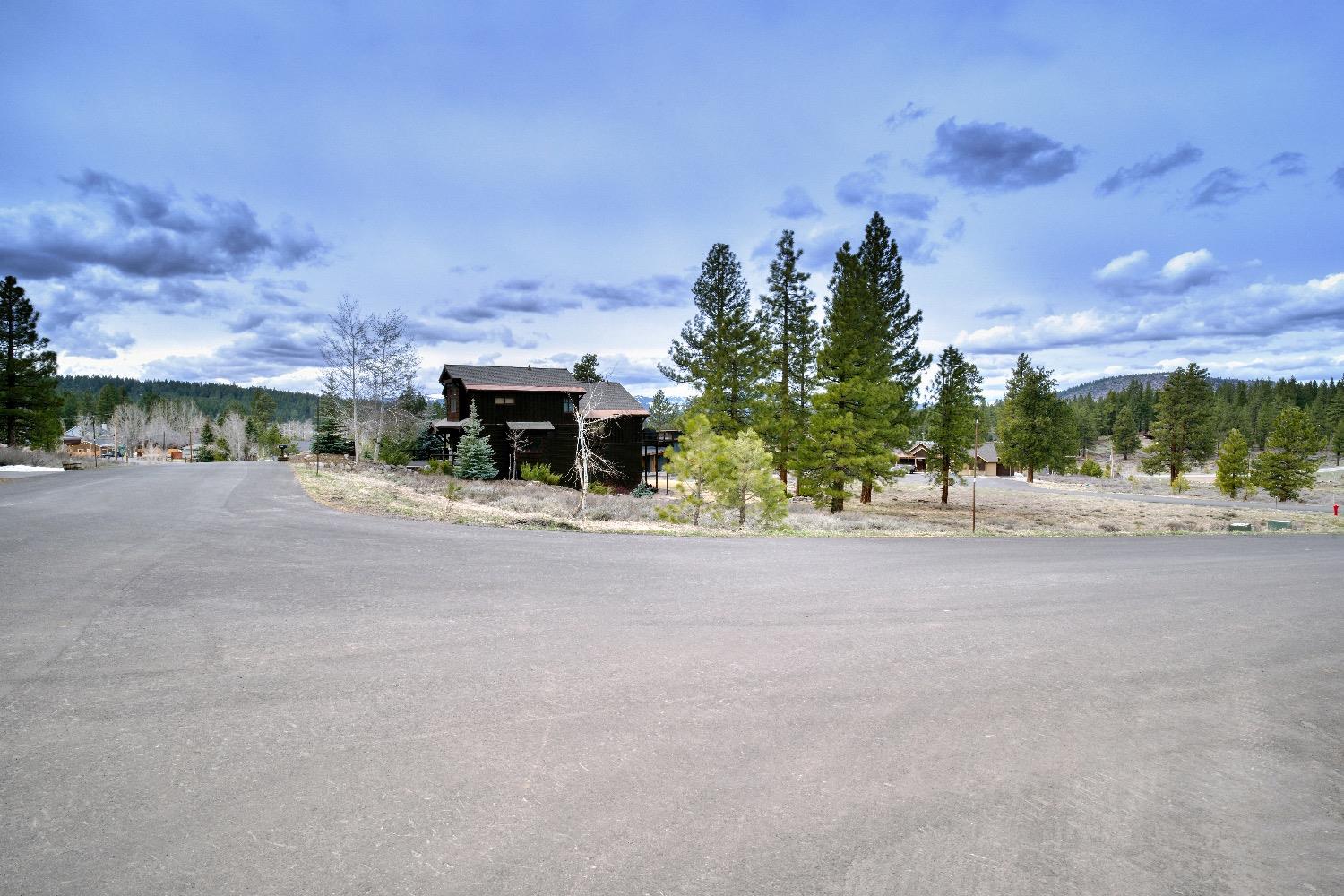 Courtenay Lane, Truckee, California image 6